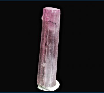 TN276 Elbaite tourmaline from Himalaya Mine, Mesa Grande District, Mesa Grande, San Diego County, California, USA TN276 Elbaite tourmaline from Himalaya Mine, Mesa Grande District, Mesa Grande, San Diego County, California, USA