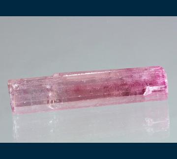 TN276 Elbaite tourmaline from Himalaya Mine, Mesa Grande District, Mesa Grande, San Diego County, California, USA TN276 Elbaite tourmaline from Himalaya Mine, Mesa Grande District, Mesa Grande, San Diego County, California, USA