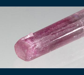 TN276 Elbaite tourmaline from Himalaya Mine, Mesa Grande District, Mesa Grande, San Diego County, California, USA TN276 Elbaite tourmaline from Himalaya Mine, Mesa Grande District, Mesa Grande, San Diego County, California, USA