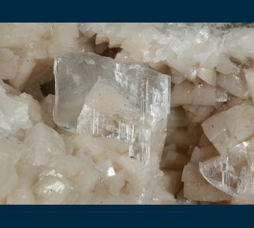 PE05 Dolomite with Gypsum (var. Selenite) from Lafarge Corp. Quarry, Lockport, Niagra Co., New York PE05 Dolomite with Gypsum (var. Selenite) from Lafarge Corp. Quarry, Lockport, Niagra Co., New York