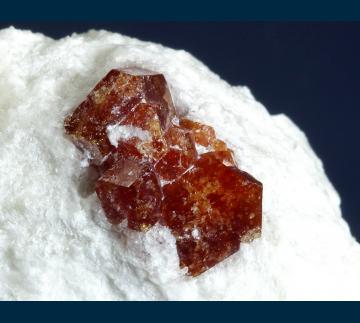 SC005 Grossular garnet from Cerro de Moka, Sierra de Cruces, Mun. de Sierra Mojada, Coahuila, Mexico SC005 Grossular garnet from Cerro de Moka, Sierra de Cruces, Mun. de Sierra Mojada, Coahuila, Mexico